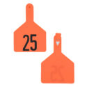 A-7002500578 - Pre-Numbered Cow Tags, Orange