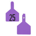 A-7002500623 - Pre-Numbered Cow Tags, Purple