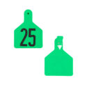 A-7002500645 - Pre-Numbered Calf Tags, Green