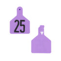 A-7002500686 - Pre-Numbered Calf Tags, Purple