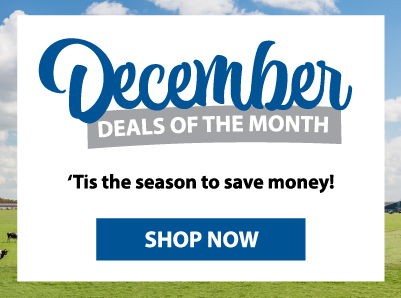 December Deals of the Month