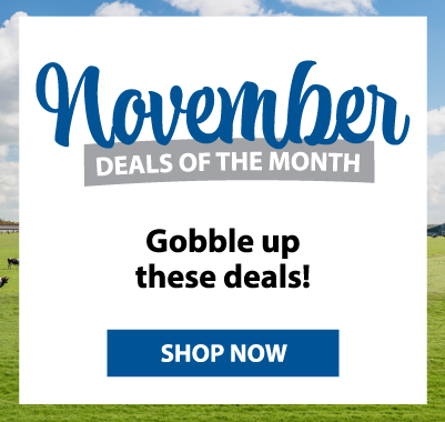 November Deals of the Month