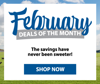 February Deals of the Month