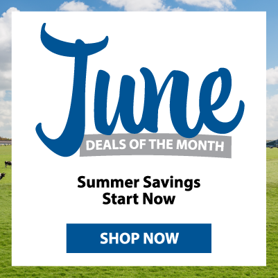 June Deals of the Month