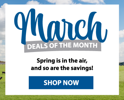 March Deals of the Month