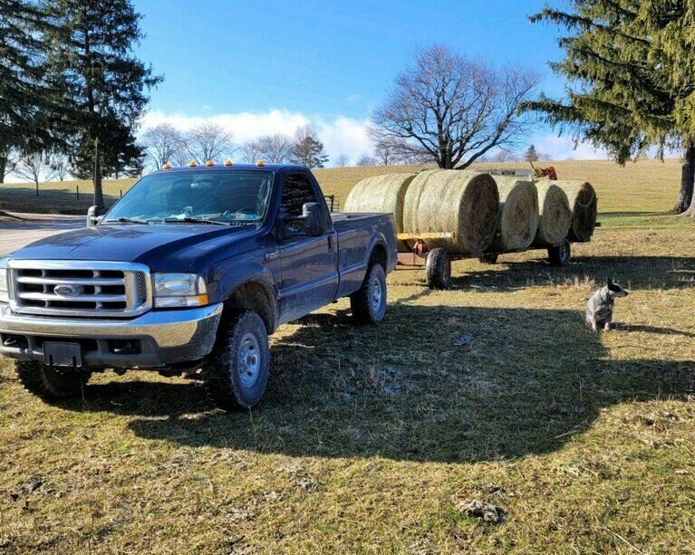 Pickup Truck hauling bales on a trailer