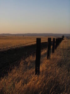 fence-line-1497123