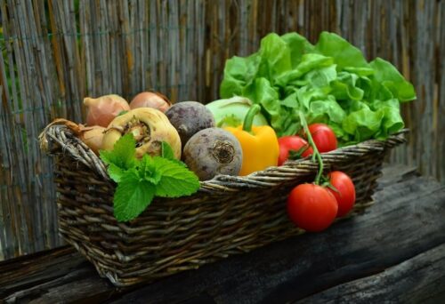 vegetables-vegetable-basket-harvest-garde